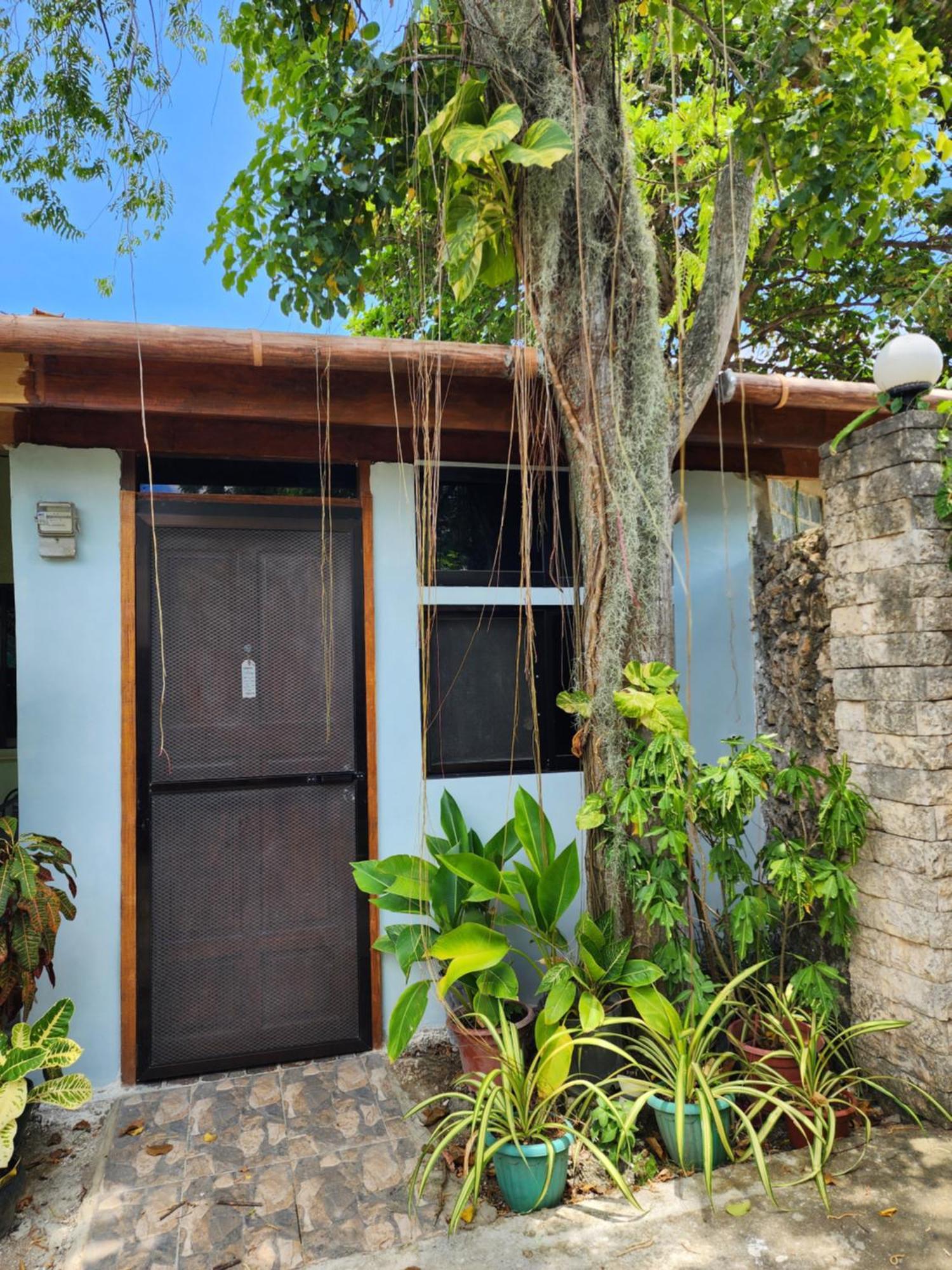 MJ's Residences Garden Hotel Moalboal Buitenkant foto